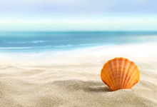 -喋血豪言：澳大利亚队决志夺冠