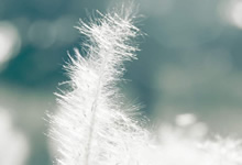 蓝鲸体育app-罗马诺：罗马向曼联提供了两种关于桑乔交易的方案，罗马诺是什么意思