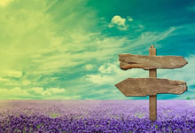 鲸蓝体育app-5年1.22亿续约！女友是00后大学生！NBA真正的人生赢家，nba女友排名