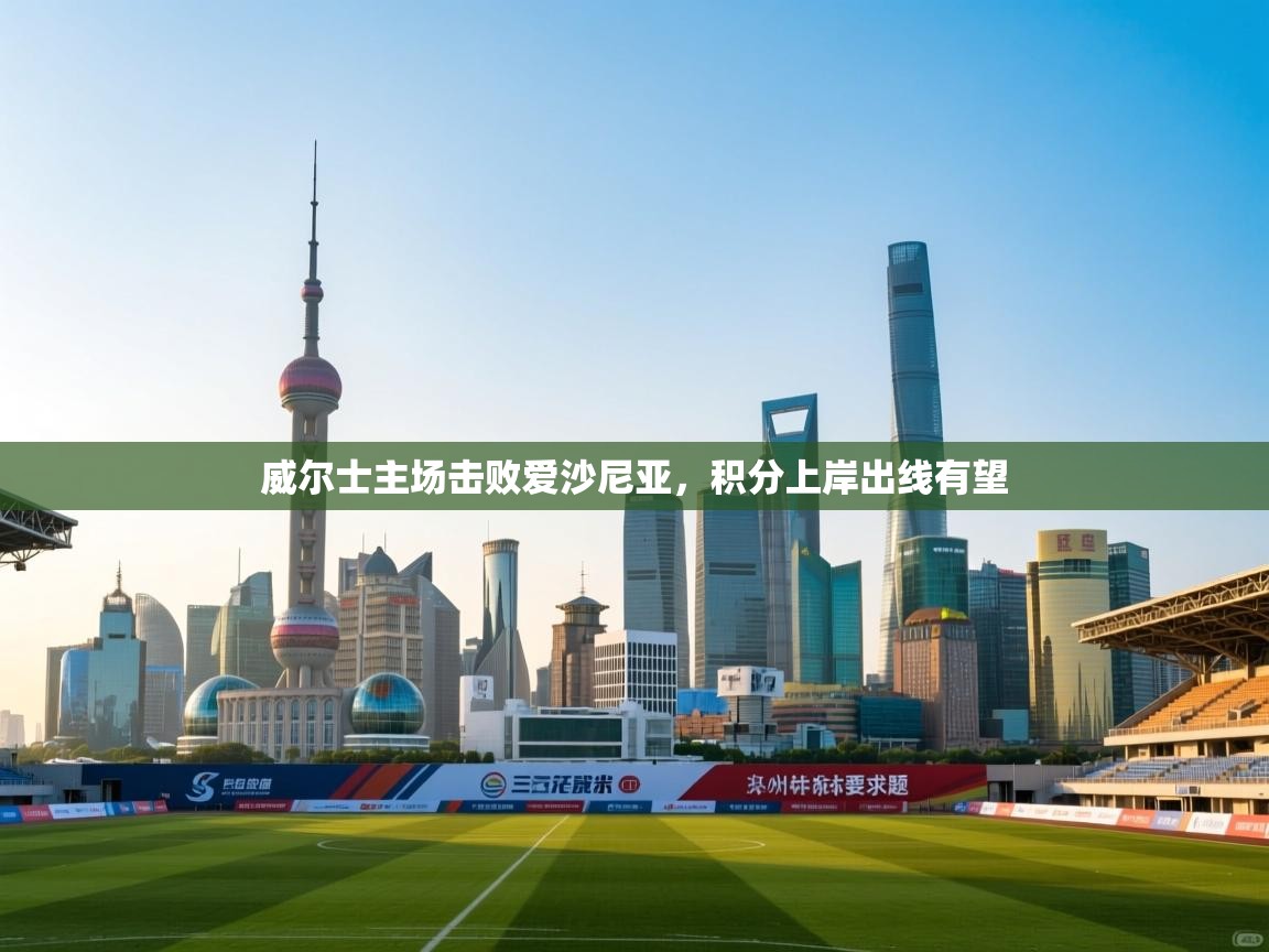 蓝鲸体育直播tv版-威尔士主场击败爱沙尼亚,积分上岸出线有望 第2张