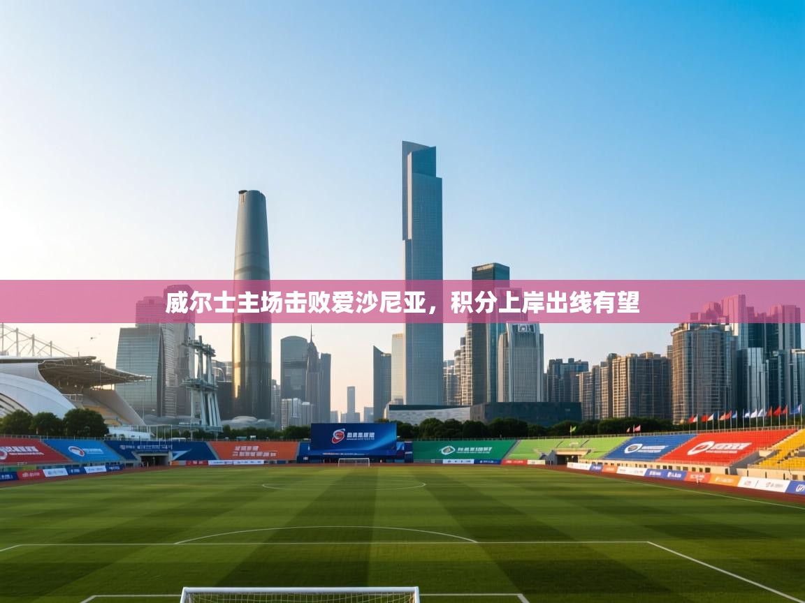 蓝鲸体育直播tv版-威尔士主场击败爱沙尼亚,积分上岸出线有望 第1张