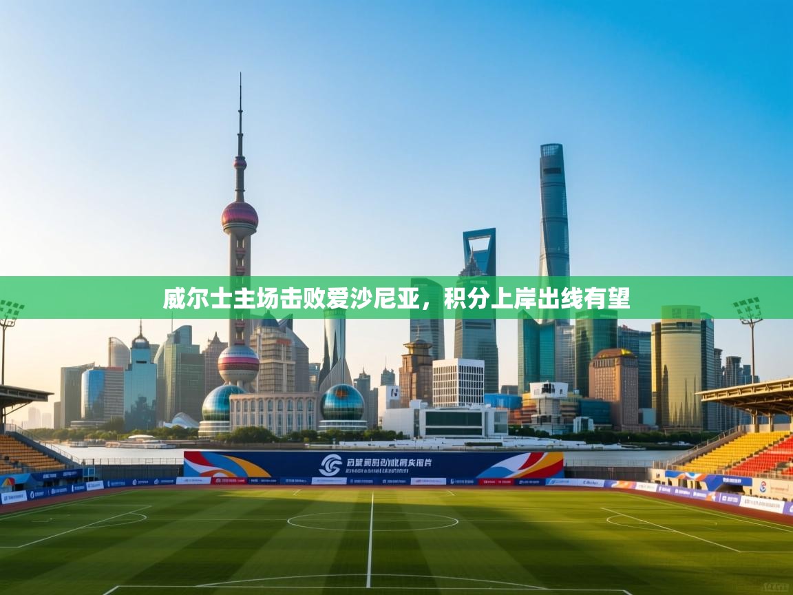 蓝鲸体育直播tv版-威尔士主场击败爱沙尼亚,积分上岸出线有望 第4张