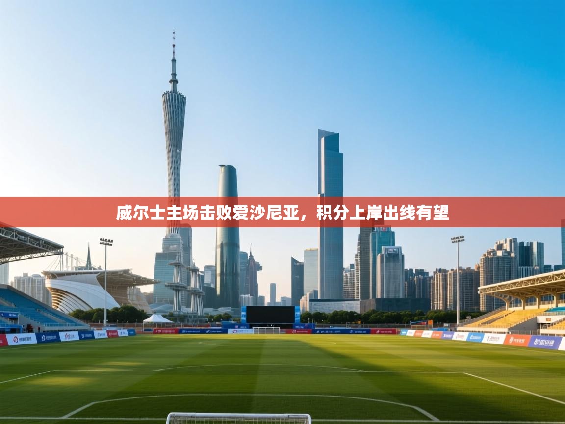 蓝鲸体育直播tv版-威尔士主场击败爱沙尼亚,积分上岸出线有望 第3张