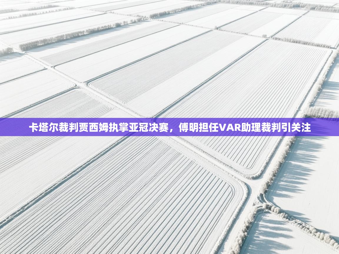 蓝鲸体育app下载-卡塔尔裁判贾西姆执掌亚冠决赛,傅明担任VAR助理裁判引关注 第3张