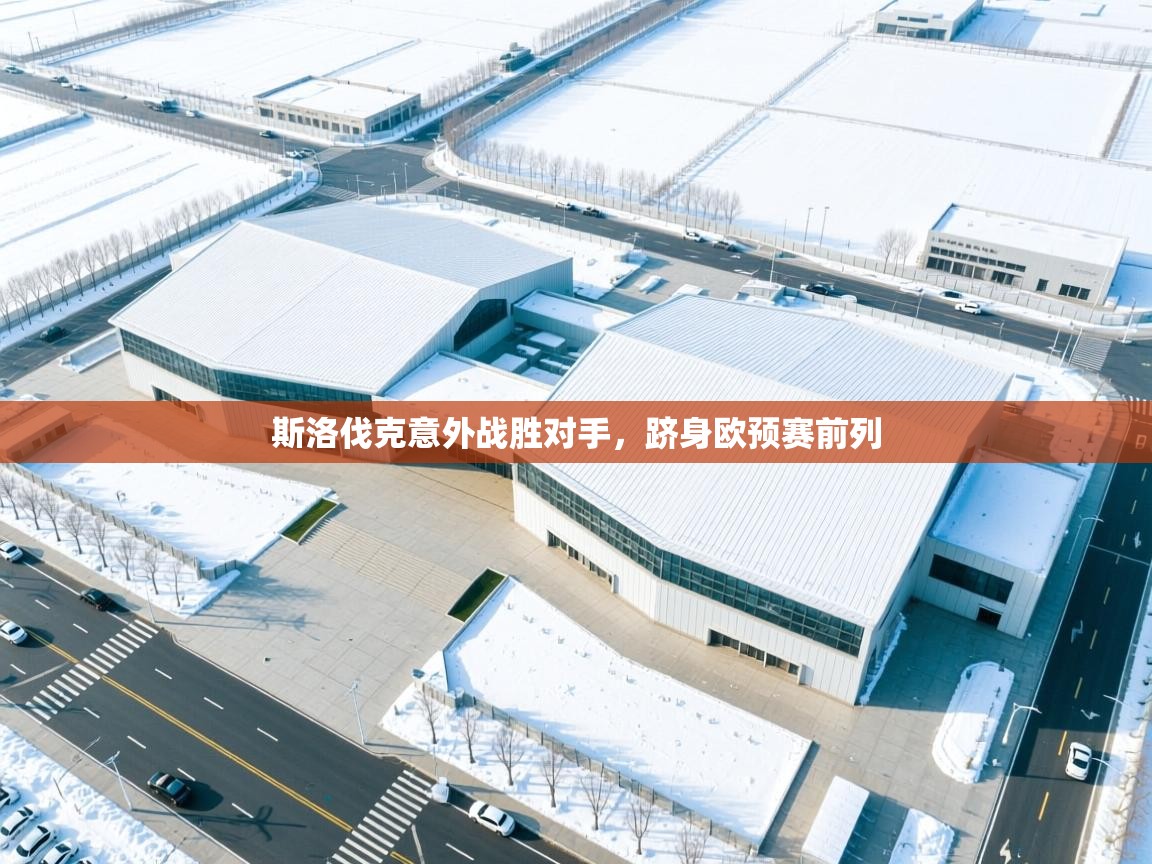 鲸蓝体育app下载-斯洛伐克意外战胜对手，跻身欧预赛前列  第1张