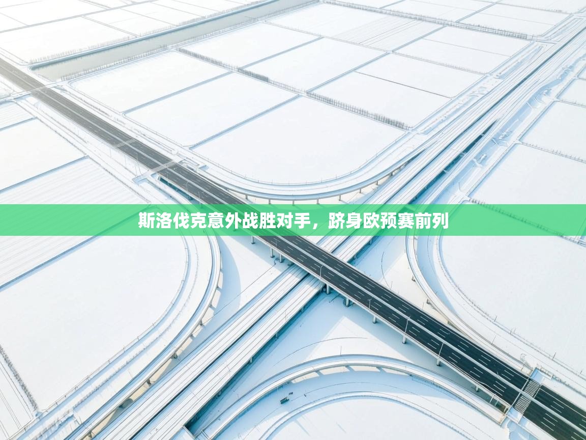 鲸蓝体育app下载-斯洛伐克意外战胜对手，跻身欧预赛前列  第2张