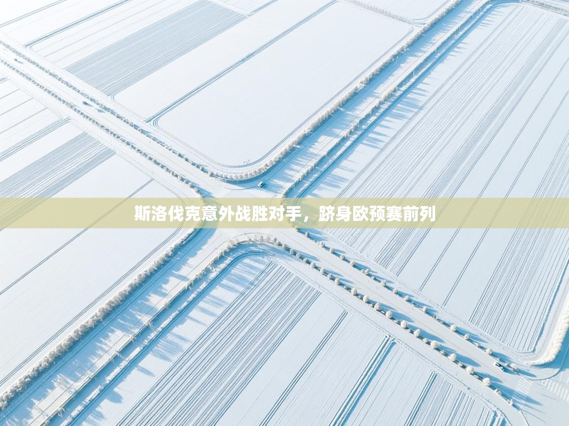 鲸蓝体育app下载-斯洛伐克意外战胜对手，跻身欧预赛前列  第3张