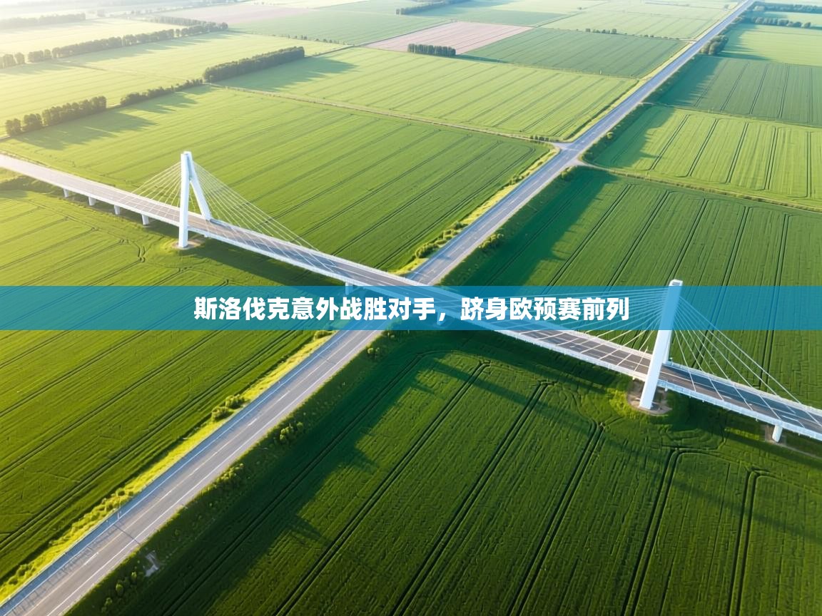 鲸蓝体育app下载-斯洛伐克意外战胜对手，跻身欧预赛前列  第4张