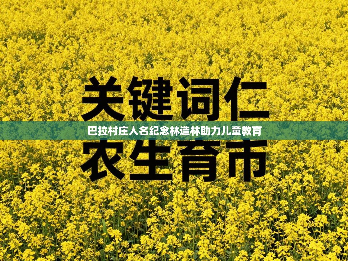 蓝鲸体育app-巴拉村庄人名纪念林造林助力儿童教育