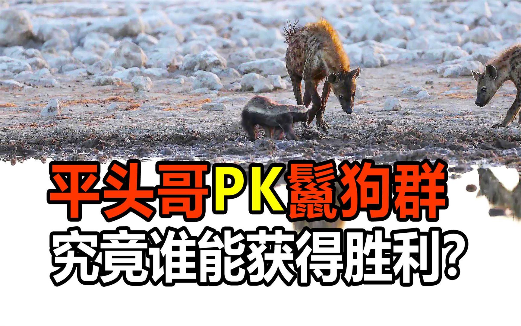 赢德气体-关于势均力敌，骁勇争先，谁能笑到最后的信息