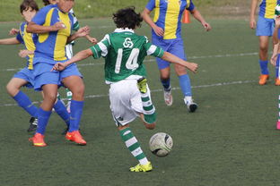 蓝鲸体育app安卓版-极具悬念!四川队对阵天津队难分伯仲 第4张